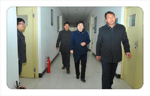 图 1 梁英华副市长参观实验室